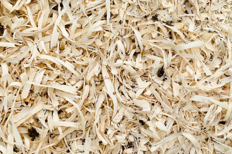 wood pellet 5.jpg