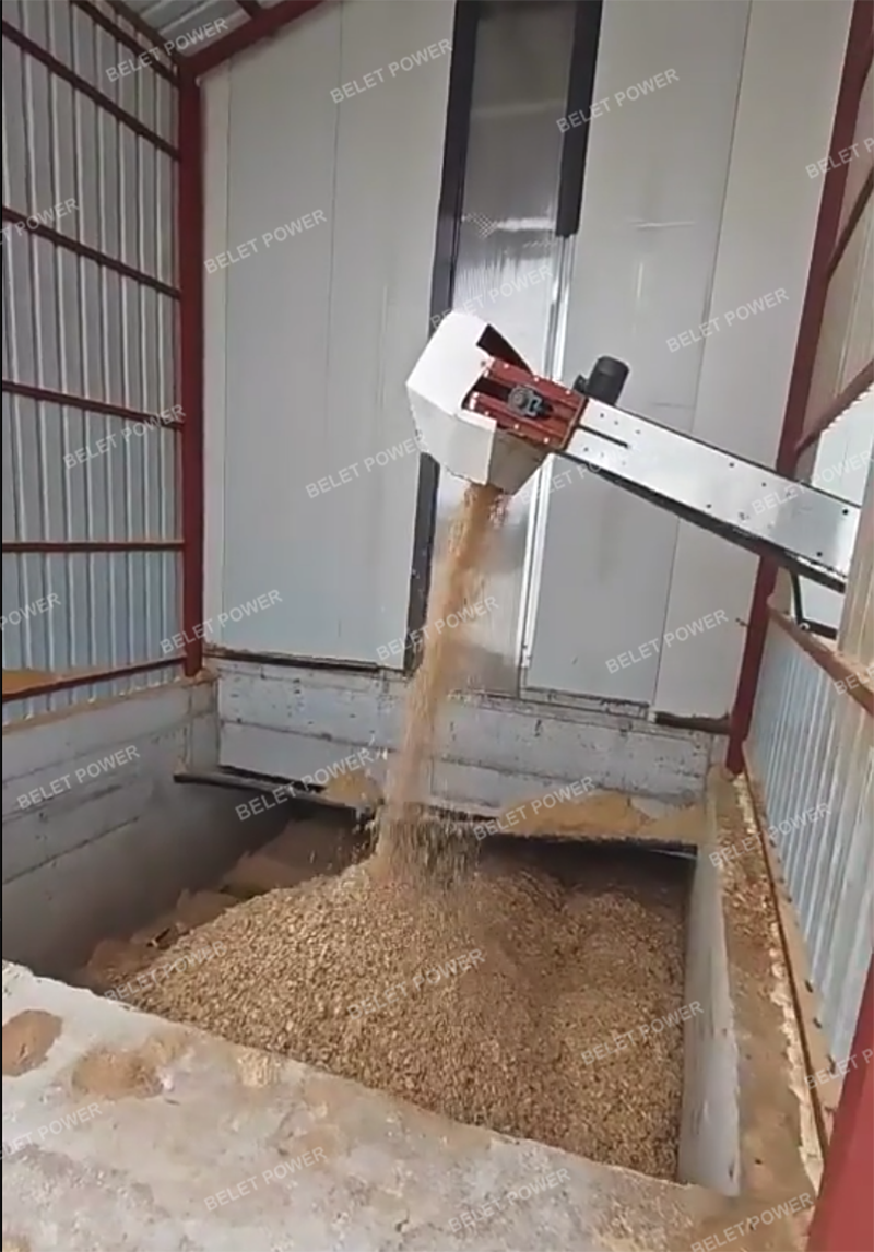 wood chips 1.png