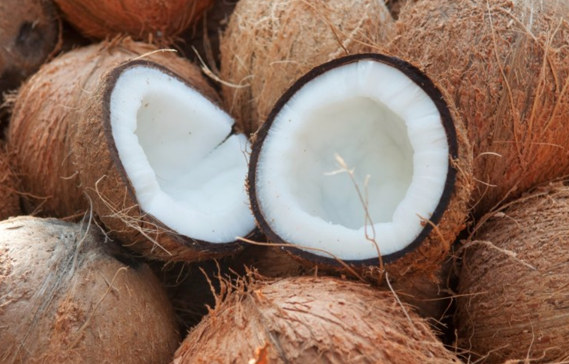 What is the difference between coconut husk and shell?